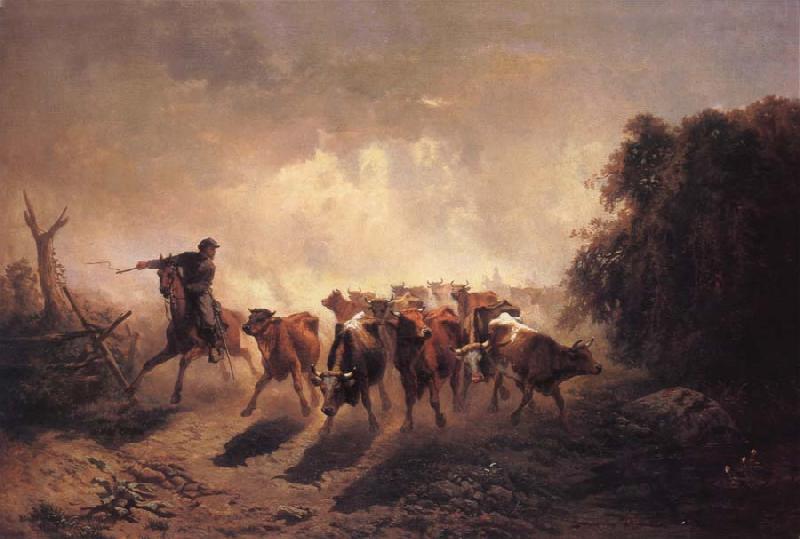 unknow artist Union Drover with Cattle for the Army